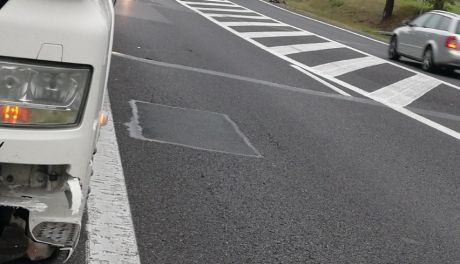 Kolizja z dzikami, cztery zwierzęta padły na miejscu