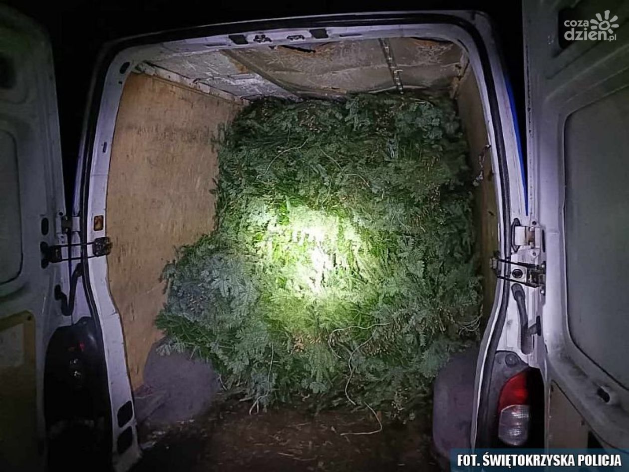 Stroisz znaleziony w busach i komórce