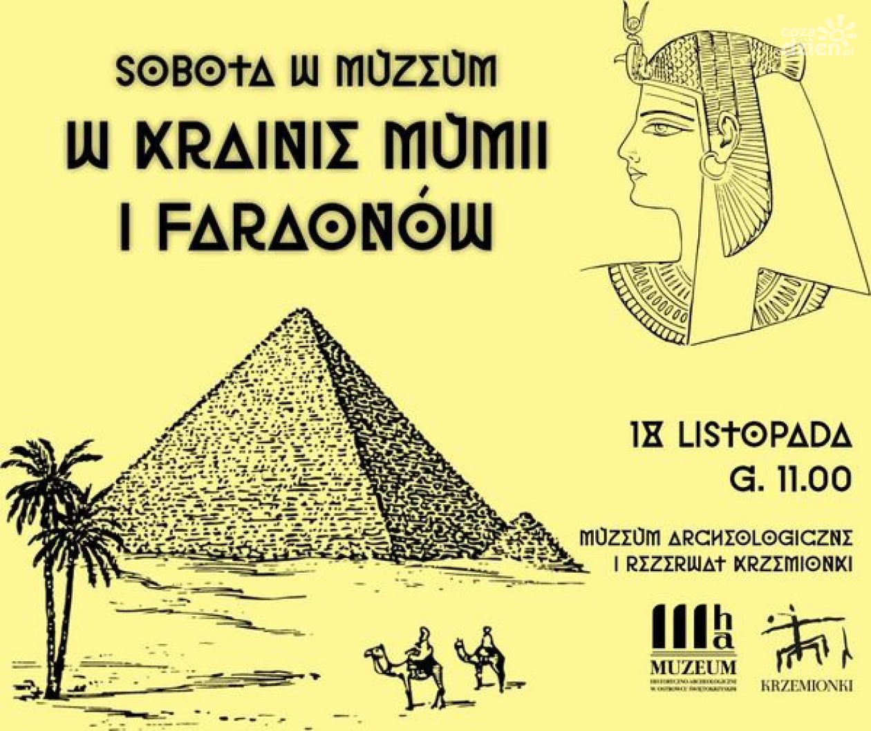 Na wyprawę do Egiptu tym razem zaprasza muzeum na Krzemionkach