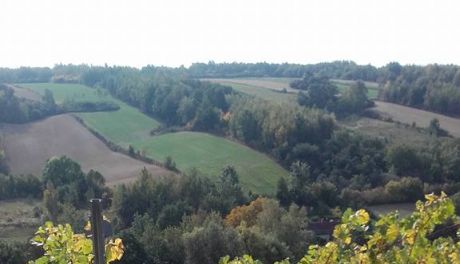 Świętokrzyskie winiarstwo może być marką regionu  