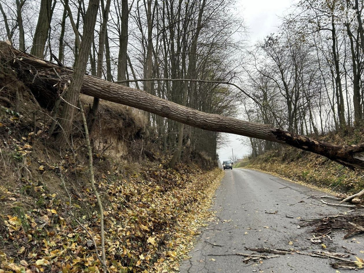 Strażacy zmagali się ze skutkami wichury w powiecie ostrowieckim