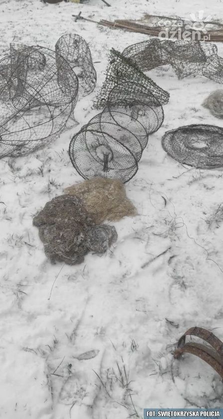 Kłusownik ze Staszowa złapany 