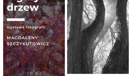 Figury drzew - wystawa fotografii Magdaleny Szczykutowicz