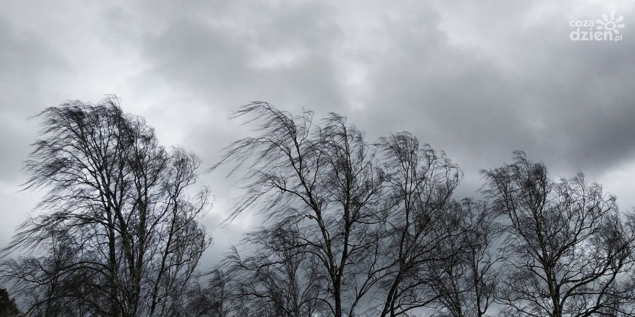Oblodzenie, silny wiatr i marznące opady w Kielcach