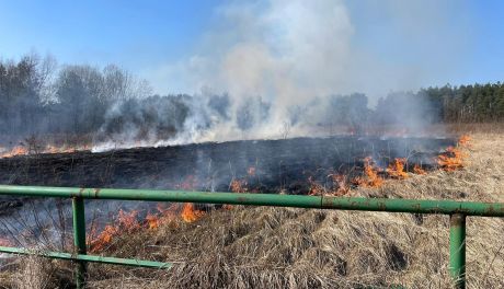 Ostrowieccy strażacy rozpoczęli sezon  gaszenie płonących traw i nieużytków 
