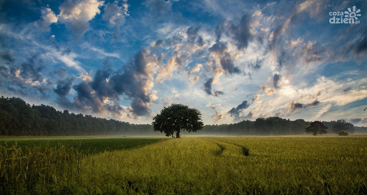 Nadchodzące przemiany. Co dzieje się w rolnictwie pod koniec marca