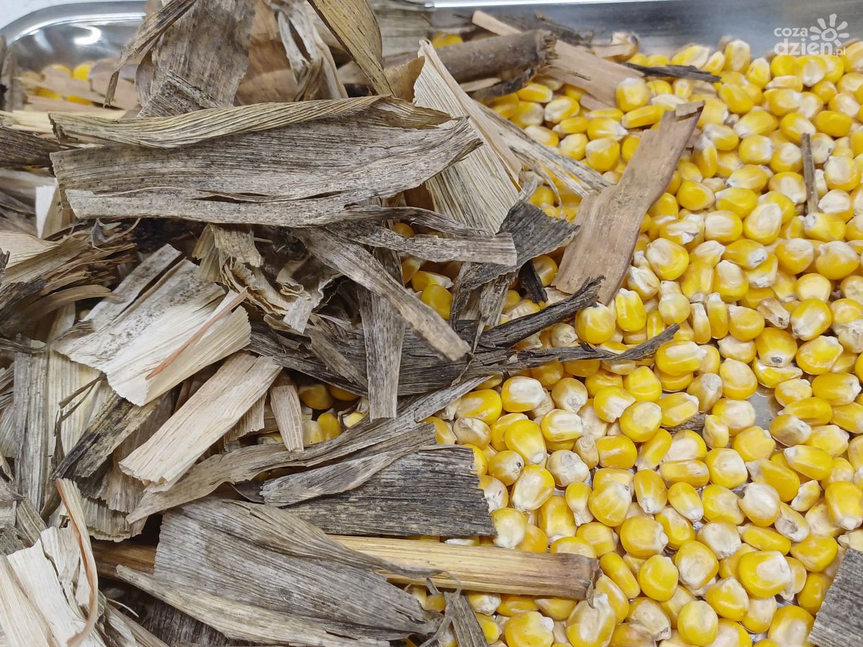 Drugie życie odpadów. Sprawdź, jak wykorzystać ich potencjał