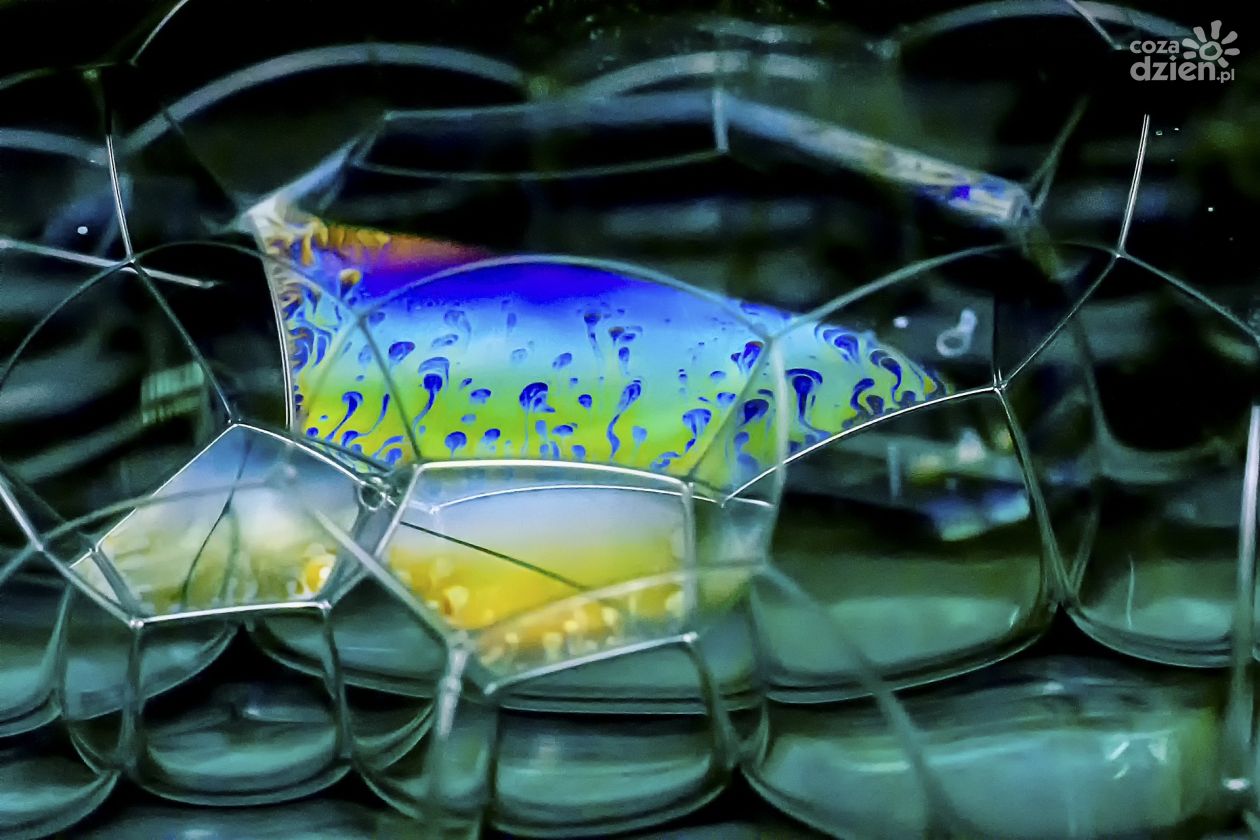 Jak barwy wpływają na nasze życie codzienne