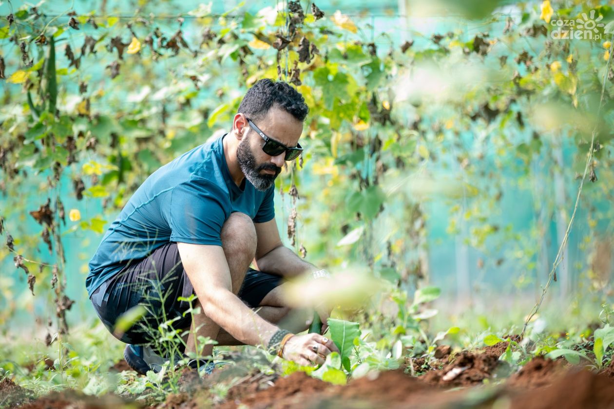 Zielone terapie - Jak ogrodnictwo wpływa na zdrowie psychiczne