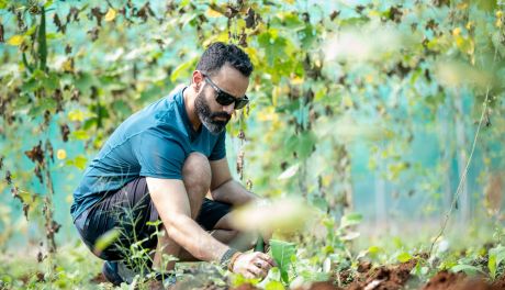 Zielone terapie - Jak ogrodnictwo wpływa na zdrowie psychiczne