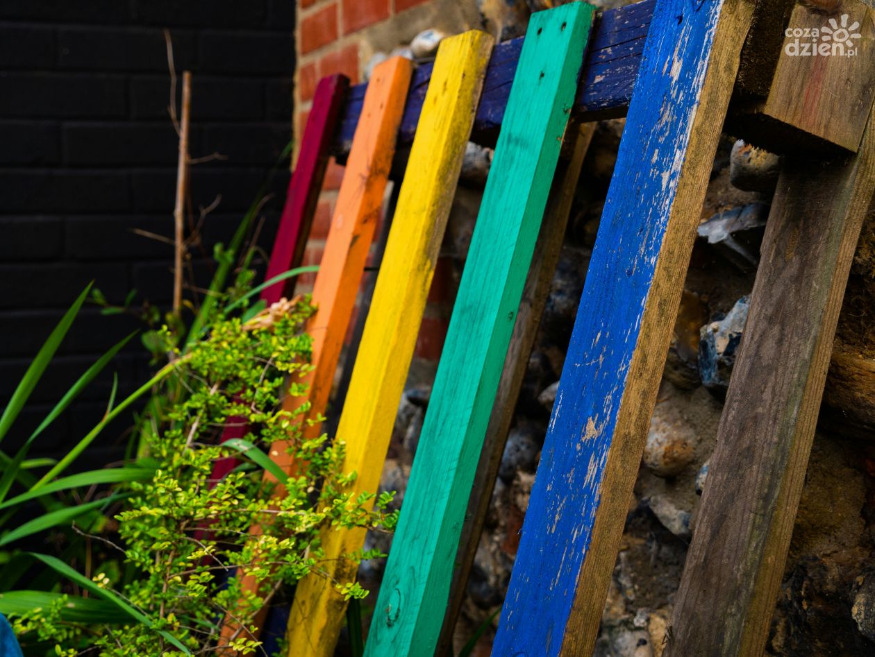 Jak stworzyć kwietnik z palety – wyjaśniamy krok po kroku