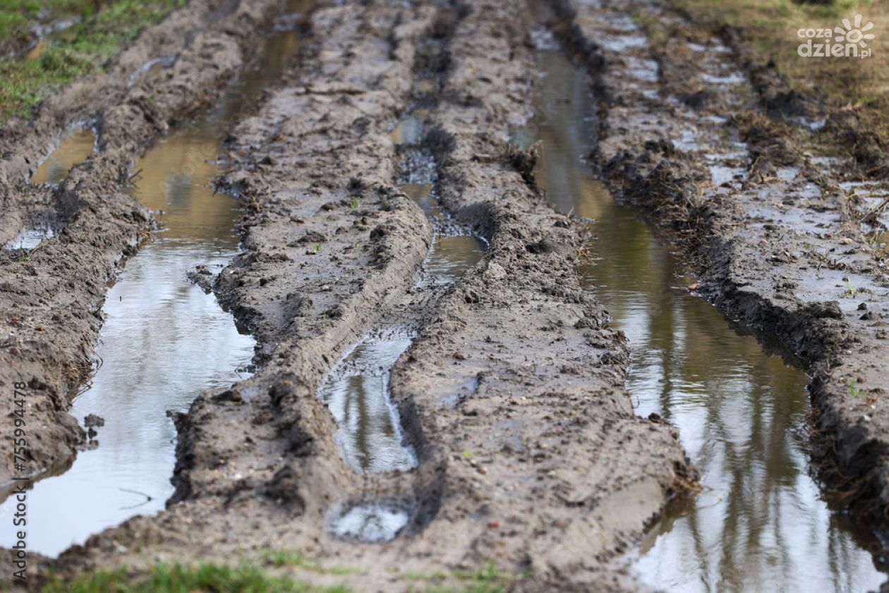 Będą odszkodowania za zniszczone deszczem uprawy rolne 