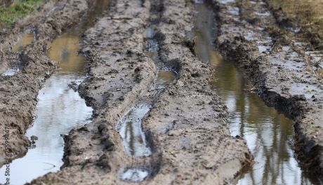 Będą odszkodowania za zniszczone deszczem uprawy rolne 