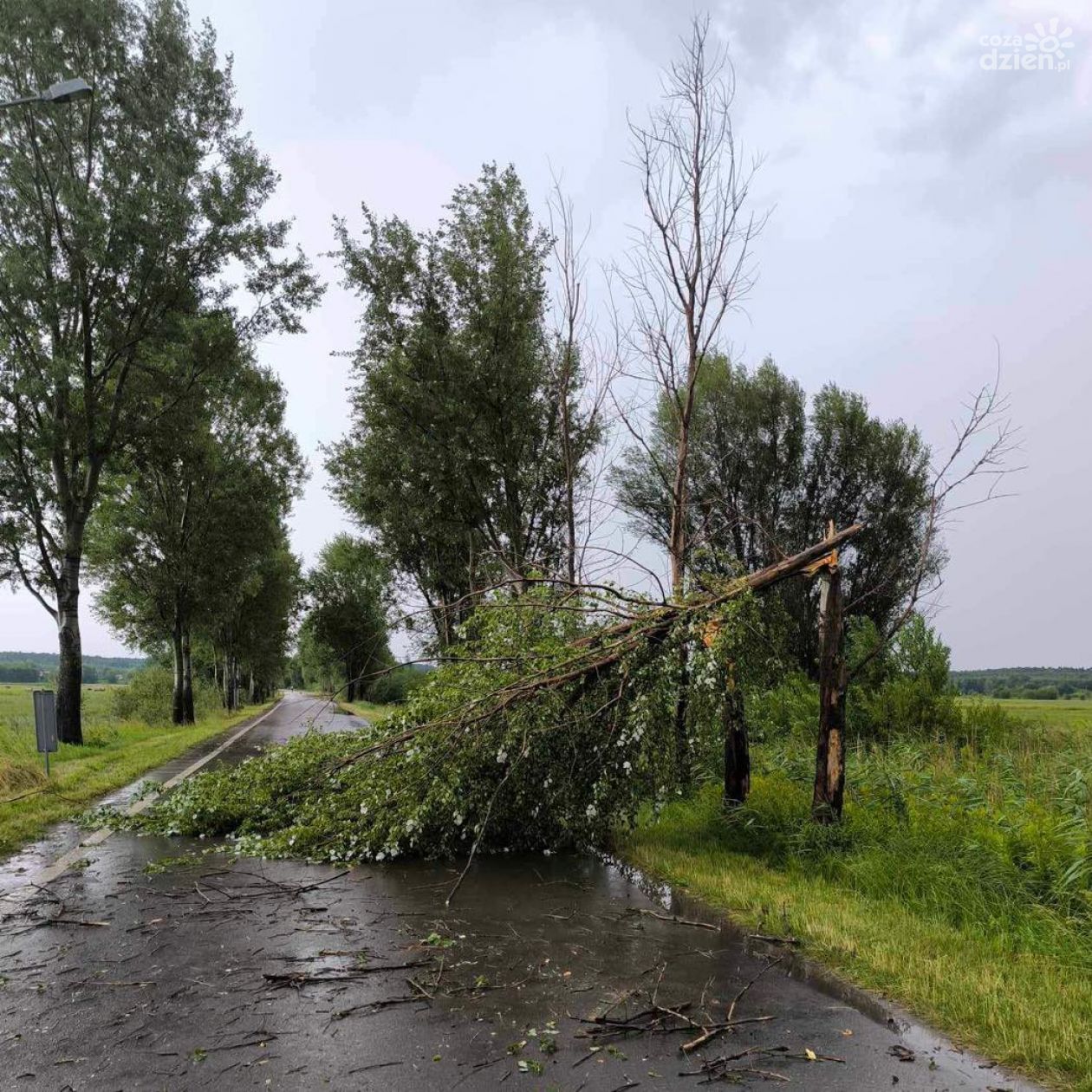 Sprzątanie po nocnej nawałnicy w Ostrowcu 