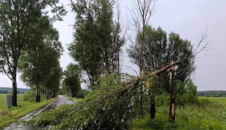 Sprzątanie po nocnej nawałnicy w Ostrowcu 