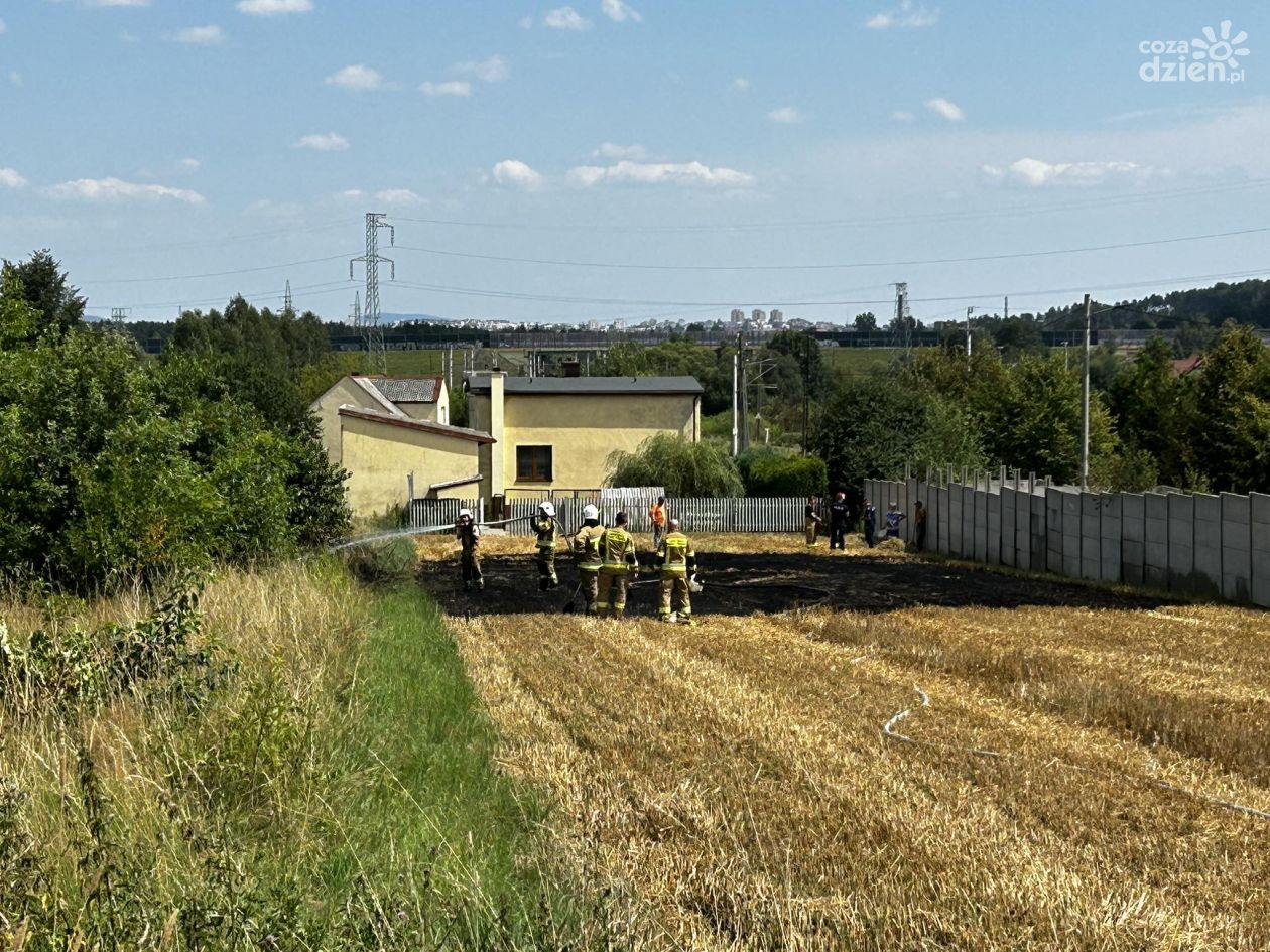 Kolejne pożary w regionie. Strażacy przestrzegają przed zagrożeniem