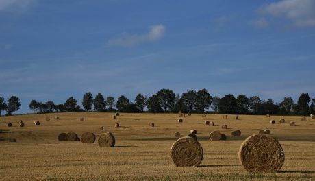 Kończą się żniwa.. rolnicy niezadowoleni