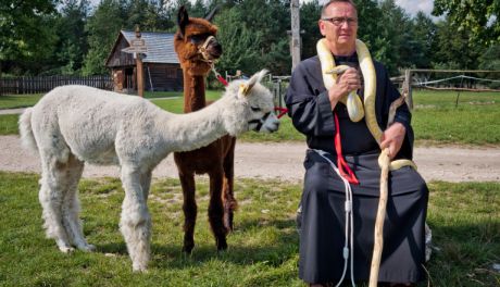 W Tokarni poświęcą zwierzęta