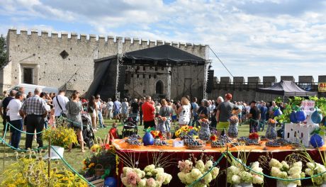 Za nami Święto Śliwki w Szydłowie