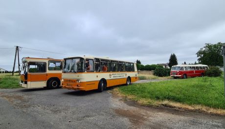 Jak zlot zabytkowych autobusów- to tylko w Starachowicach 