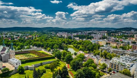 Urząd Miasta Kielce organizuje konkurs ekologiczny