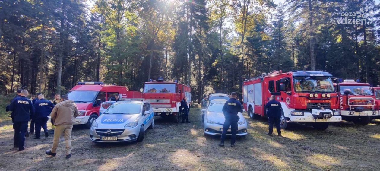 Seniorka z Iwanisk zaginęła w lesie. Trwają intensywne poszukiwania