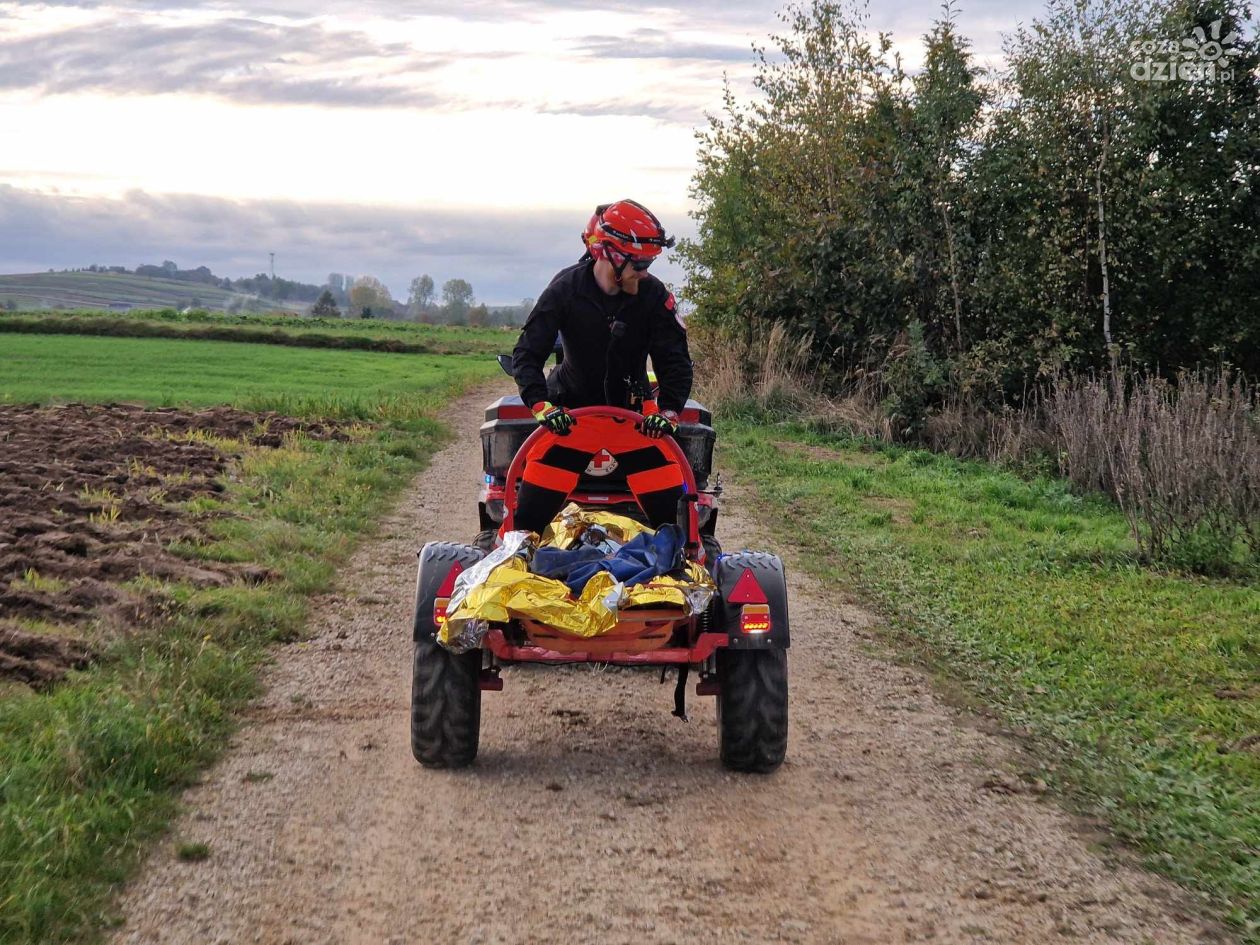 76-letnia grzybiarka z gminy Iwaniska odnaleziona żywa