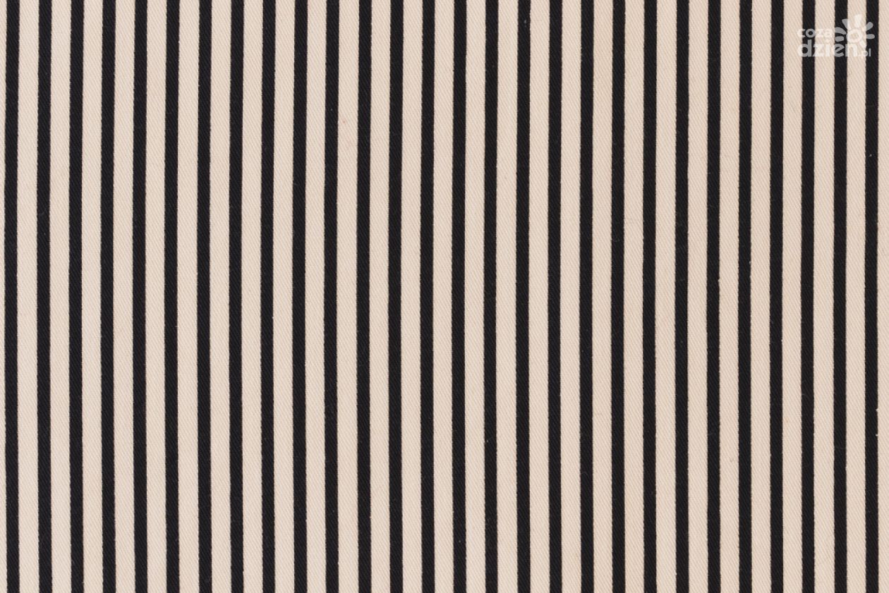 Jak dobrze połączyć tapetę w pionowe pasy z resztą wnętrza?