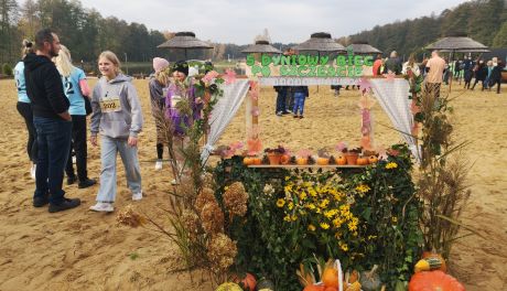 Rekordowy "Dyniowy Bieg po Szczęście". Ponad 300 osób pobiegło, aby pomóc potrzebującym