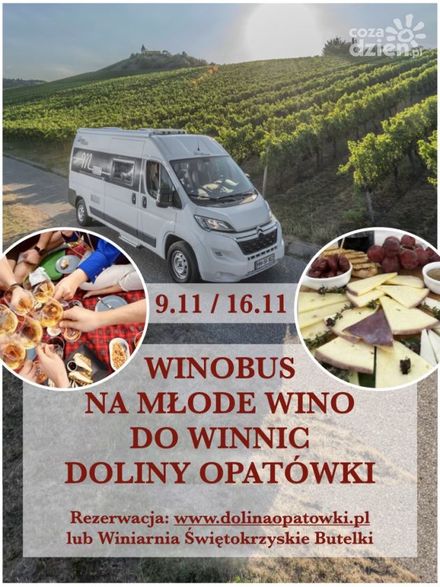 Świętokrzyskie winnice zapraszają 