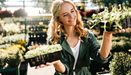 Sadzonki – Twoja ogrodowa przygoda zaczyna się z Setzlingeonline.de