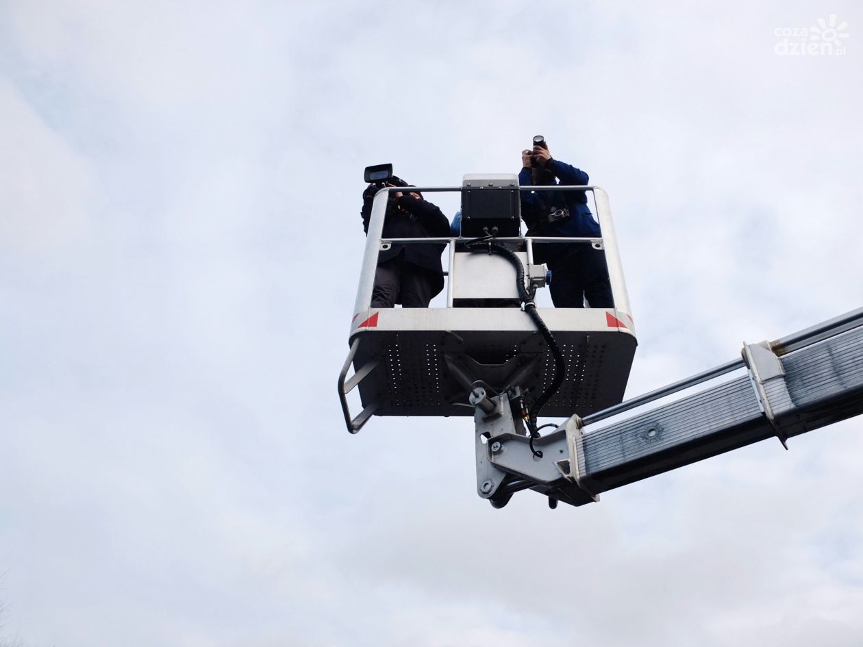 Podnośnik koszowy: dlaczego warto rozważyć wynajem zamiast zakupu nawet przy częstym użytkowaniu?