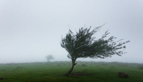 Ostrzeżenie meteorologiczne przed silnym wiatrem