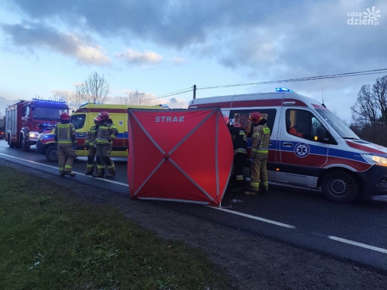 Śmiertelne potrącenie nastolatki na DK42
