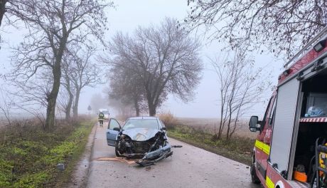 Matka z dwójką dzieci w aucie uderzyła w drzewo