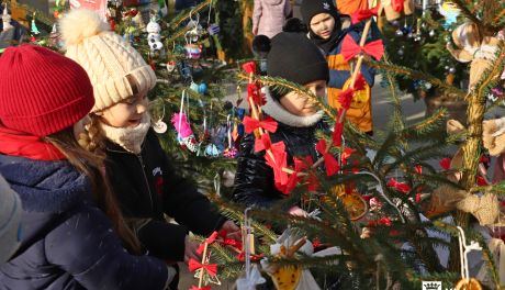 Konkurs na Najładniejszą Choinkę dla Uczniów Szkół Podstawowych w Kielcach