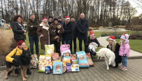 Czworonogi z Ostrowca też dostaną prezenty 