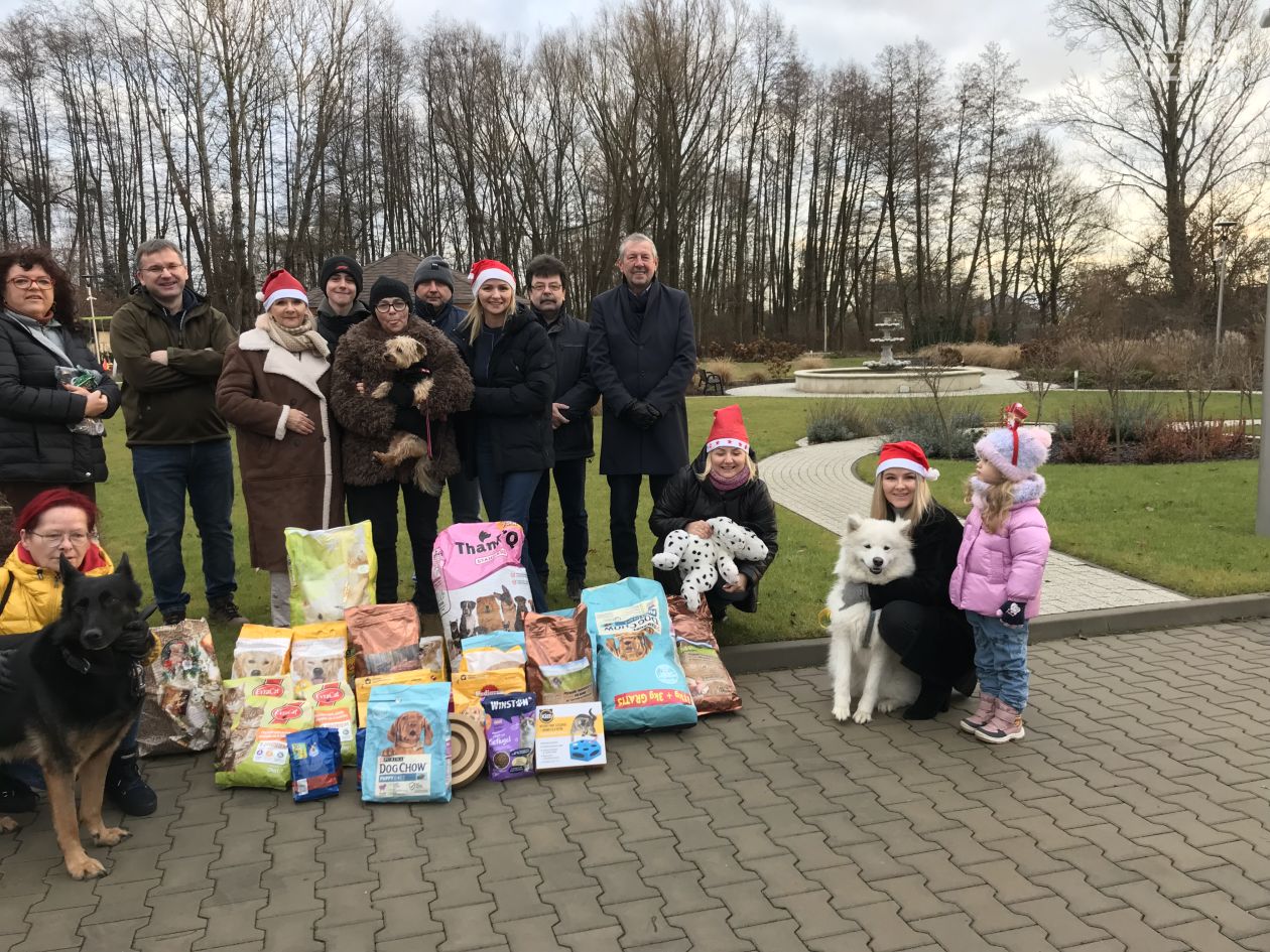 Działacze ostrowieckiej  PO nie zapominają też o bezdomnych  zwierzętach 