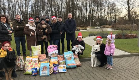 Działacze ostrowieckiej  PO nie zapominają też o bezdomnych  zwierzętach 