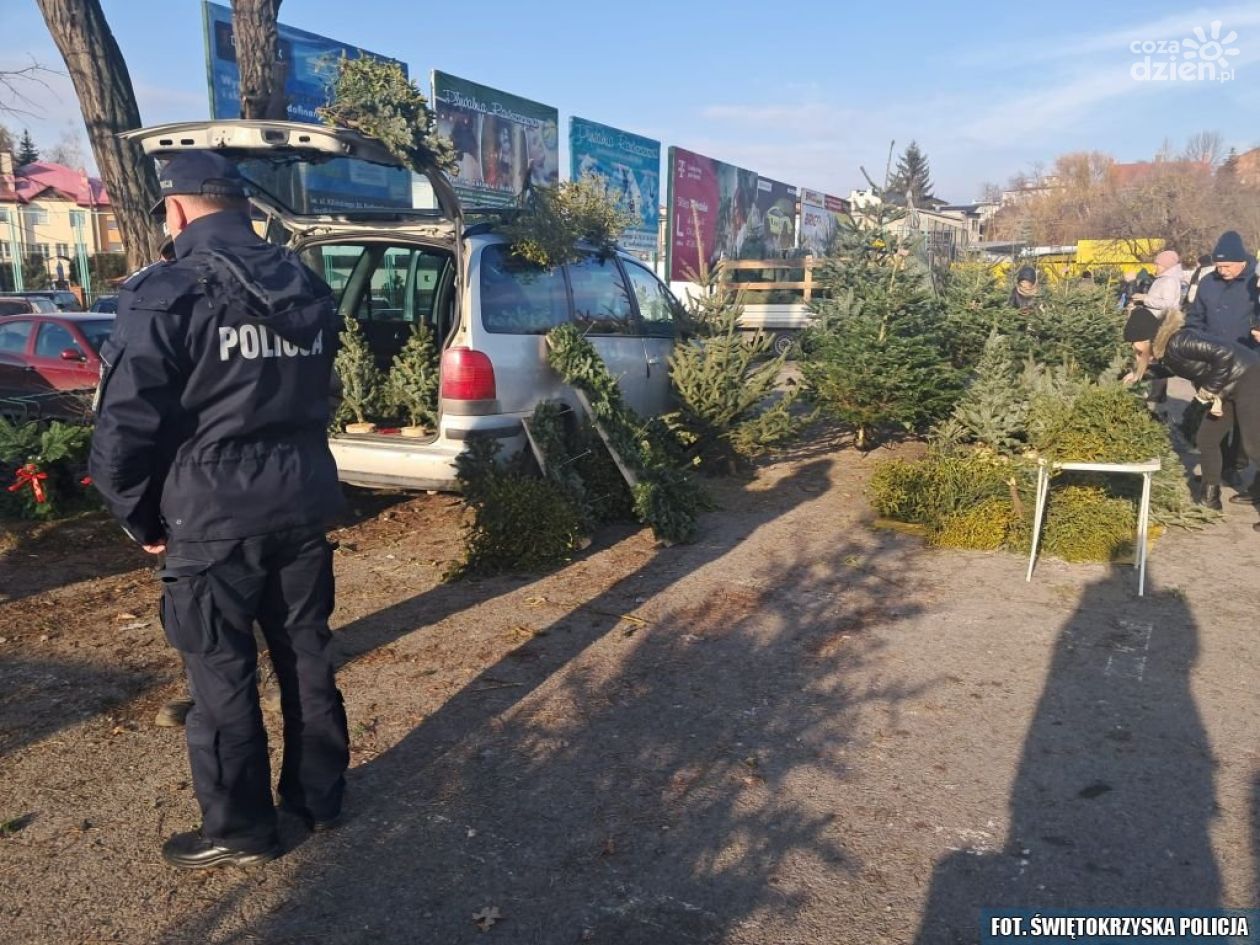 Policja kontroluje sprzedaż choinek i karpi