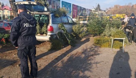 Policja kontroluje sprzedaż choinek i karpi