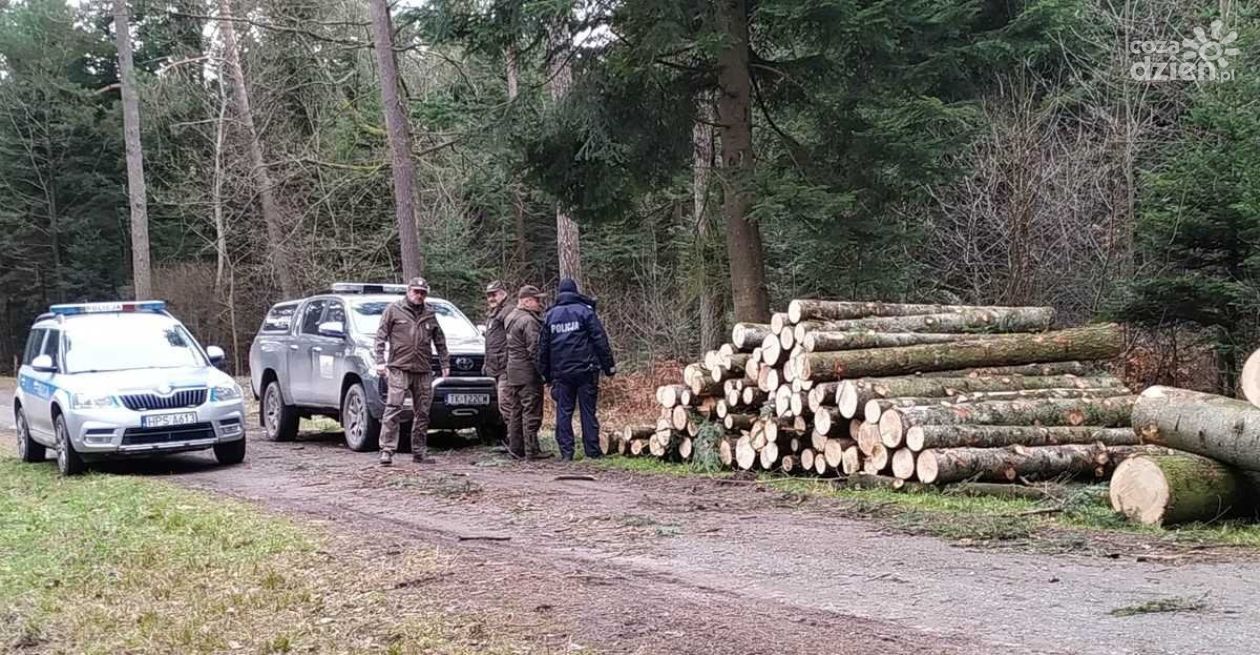 Policja i Straż Leśna współpracuje w ramach akcji 