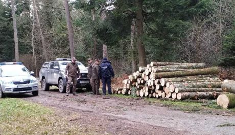 Policja i Straż Leśna współpracuje w ramach akcji "Stroisz"