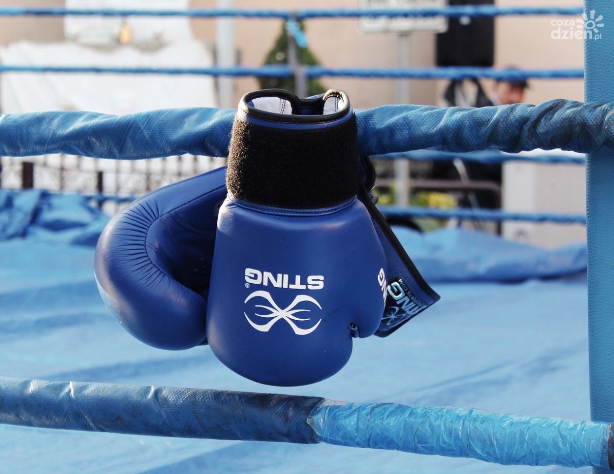 Brązowe medale pięściarzy KKB RUSHH Kielce  