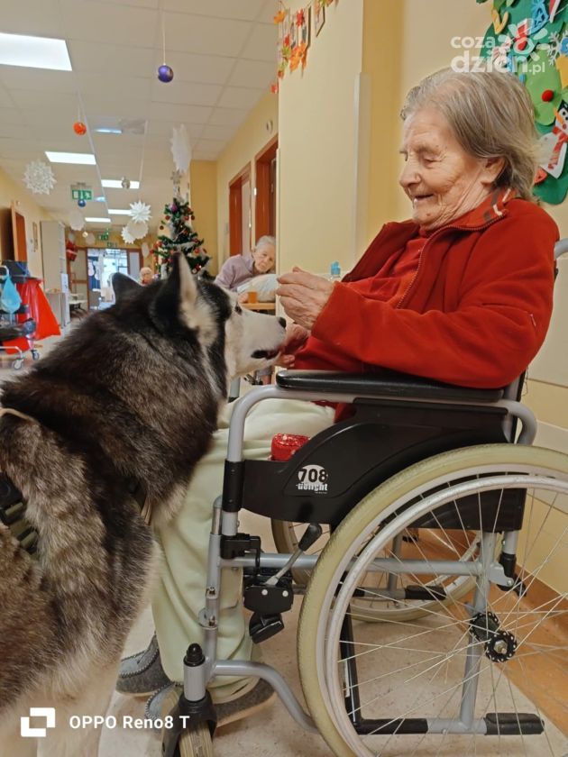 Nowość w starachowickim ZOL-u: Dogoterapia – leczenie z pomocą czworonożnego terapeuty