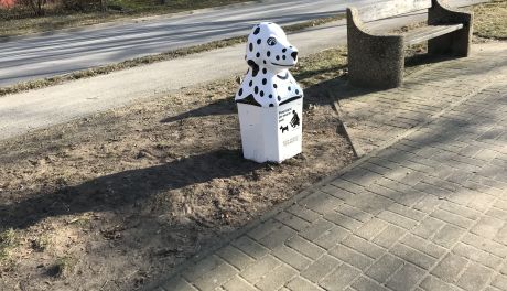 W Ostrowcu psie nieczystości trafiają do "psich" koszy  