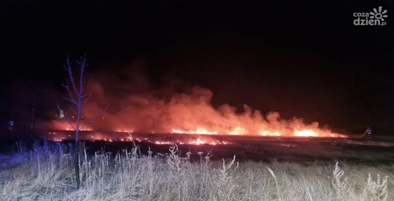 Pożary traw wciąż problemem w Świętokrzyskiem
