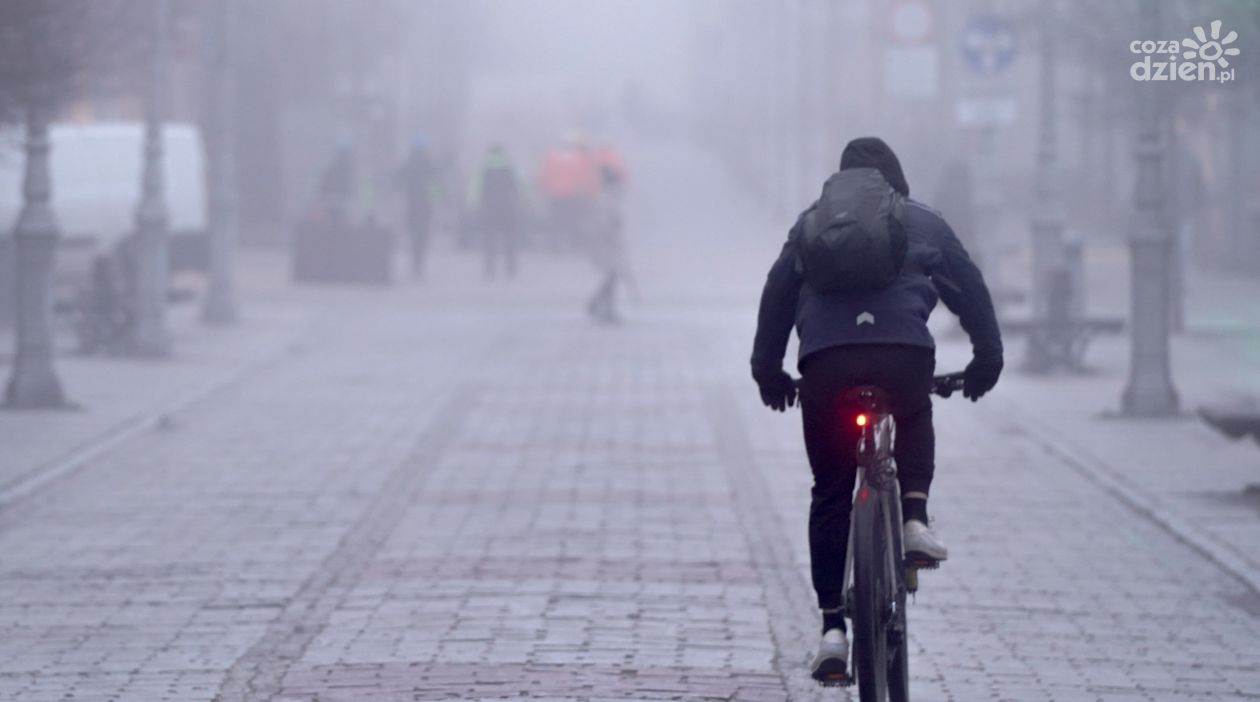 IMGW prognozuje gęste mgły