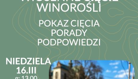 Pokaz cięcia krzewów i porady dla  uprawiających winorośl 