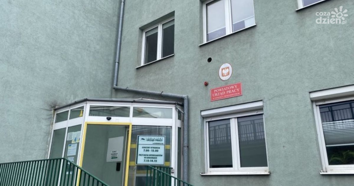 Ostrowczanie szukają pracy